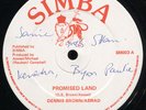 Dennis Brown & Aswad - Promised Land UKSimba 12