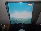 Oasis Whatever 12