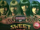 Sweet - Strung Up Coloured Vinyl LP Signed Andy Scott with Photo Proof