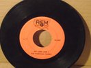 THE MARSHALL FAMILY my lord and i REM 443 custom press BLUEGRASS GOSPEL vg HEAR
