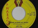 Rock & Roll 45 - Noe Pro & the Semitones - Come Along My Baby - Pharaoh - mp3