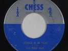 Doo-Wop R&B Rocker 45 - Four Tops - Could It Be You - Chess - mp3