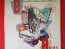 Beach Boys, Made In The USA Double LP Vinyl, Pop Rock Capitol Records STBK-12396
