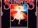 STRAWBS Grave New World VINYL TRI-FOLD Lp 1972 & BOOKLET PROGRESSIVE ROCK FOLK