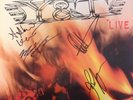 Y & T - Open Fire Signed Autographed Vinyl