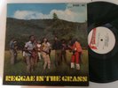 V/A - reggae in the grass - STUDIO ONE