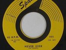 Doo-Wop 45 - Randy Lee - Never Ever/I Never Knew - Spann - mp3