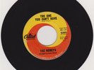HONEYS--THE ONE YOU CAN'T HAVE--CAPITOL-5093--BRIAN WILSON, BEACH BOYS