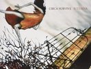 Circa Survive - Juturna: Deluxe 10 Year Anniversary Edition [Vinyl New]