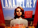 Lana Del Rey: Born To Die Vinyl LP. Ultraviolence. Paradise. Honeymoon Kill Kill