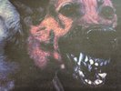 Protomartyr Under Color Of Official Right Rare Red Vinyl With Extras New