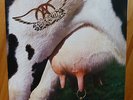 AEROSMITH 