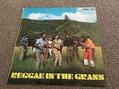 REGGAE IN THE GRASS - RARE 1969 JA STUDIO ONE LP - LOTS MORE REGGAE IN MY SHOP