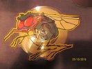 ACDC Picture Disk Danger,Back In business