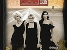DIXIE CHICKS-HOME (GATE)  VINYL LP NEW