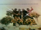 ELECTRIC PRUNES/JUST GOOD OLD ROCK N ROLL,RS6342,VG+TONEX/NM
