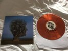 Pink Floyd Brave New World Live 1977 Brown Clear Vinyl