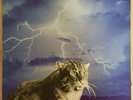 Smog ?– Knock Knock, Vinyl LP