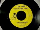 RARE GARAGE PSYCH FUZZ 45 CAMEL DRIVERS The Grass Looks Greener/Gonna Rain HEAR
