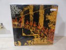 NEW TROLLS Concerto grosso N.2  LP EX+/EX+ PRIMA STAMPA ITALIANA