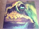 Toad - Same - Prog. Rock LP 33 U-min.