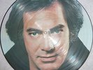 NEIL DIAMOND  RARE Picture Disc On the Way To The Sky .Vinyl LP.UK