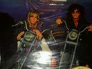 CHEAP TRICK IN COLOR VINYL LP SEALED AUDIO FIDELITY