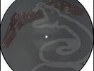 METALLICA SAD BUT TRUE RARE IMPORT Vinyl Record Picture Disc