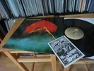 Second Movement - Movements - LP - Archiv - Rockport - KRAUTROCK Mint