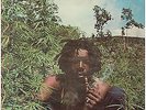 PETER TOSH LEGALIZE IT LP 1976 ISLAND