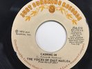 THE VOICES OF EAST HARLEM - Cashing In  vinyl JSA 510 VG Soul Rare 45 1973