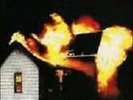 JIM JONES REVUE-BURNING YOUR HOUSE DOWN  VINYL LP NEW