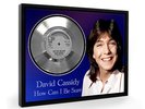 David Cassidy How Can I Be Sure Framed Silver Disc Display Vinyl (C1)