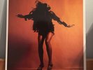 The Last Shadow Puppets - Everything You've Come To Expect LP DELUXE 7