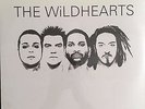 The Wildhearts Self Titled White Vinyl Gatefold Record Ginger LP RARE