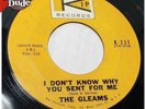 THE GLEAMS 