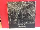 Crucial T., Darkened Days 7