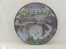 METALLICA creeping death picture disc 1984 MFN P12KUT112...megadeth iron maiden