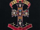 Guns N Roses - Appetite For Destruction (LP) Vinyl LP Geffen NEW