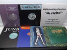 House Vinyl 12” X 7 *Basement Jaxx*DJ Sneak*Problem Kidz*Ian Pooley*Sneaker Pimp