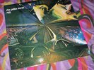 EGG   POLITE FORCE. Orig 1970 UK. Deram, prog, psych, Hatfield & the North. M-.
