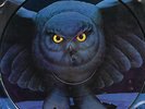 RUSH - FLY BY NIGHT (RJ-7012-P) PICTURE DISC LP