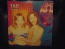 TAD 12