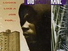 Big Daddy Kane - Looks Like A Job For... '93 LP US ORG  Large Professor