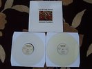 The Stone Roses Garage Flower Rare Clear Vinyl LP Mint Condition