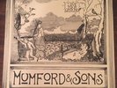 Mumford and Sons Vinyl 10