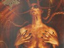 DARK FUNERAL - Diabolis Interium     2LP       NEU