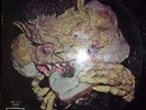 Black Cat Bones-Barbed Wire Sandwich LP.  1970 Orig.