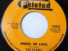 the ECHOS doowop 45 ANGEL OF LOVE / TWISTIN TOWN vinyl looks VG+ m681