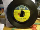 The Crystals Come To Me Darling / Squeeze Me Baby 45 M- Doo-Wop R&B Luna (repro)